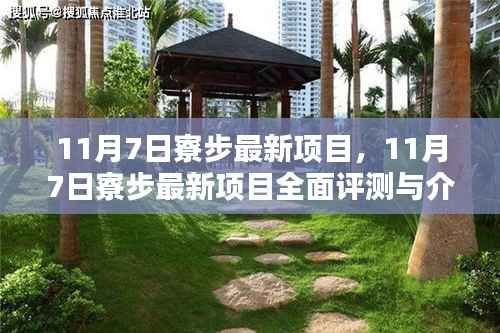 11月7日寮步最新项目全面评测与详细介绍