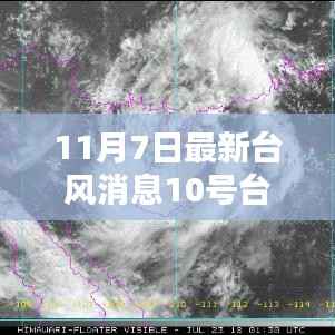 台风季节必备知识,如何应对与防御即将到来的台风——初学者与进阶用户指南