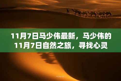 马少伟心灵之旅,寻找宁静与笑声的自然之旅