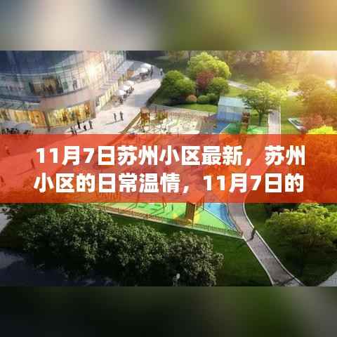 苏州小区邻里趣事,日常温情与最新动态(11月7日)