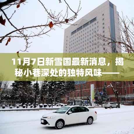 探寻新雪国最新消息中的隐藏特色小店,小巷深处的独特风味揭秘