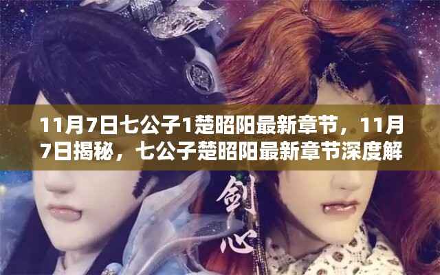 揭秘七公子楚昭阳最新章节深度解析,深度探讨与精彩解读