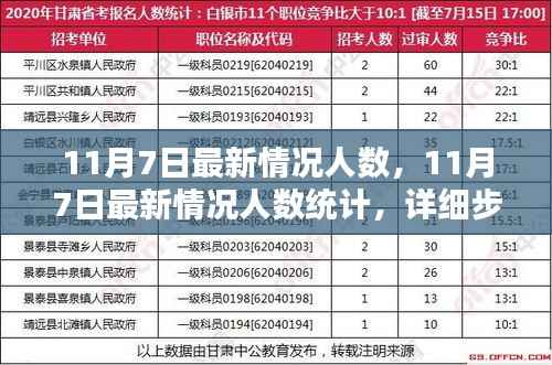 11月7日最新人数统计情况及详细步骤指南