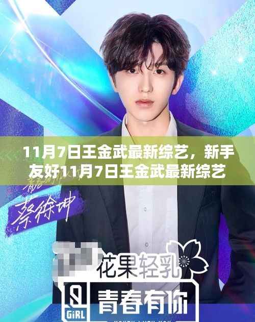 王金武最新综艺节目观看全攻略,新手友好指南(11月7日)