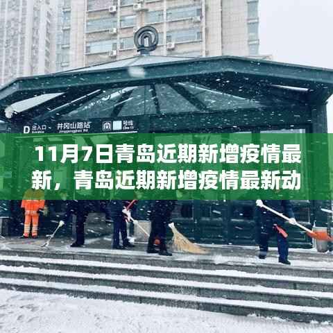 青岛疫情最新动态深度解析,11月7日版新增病例概览