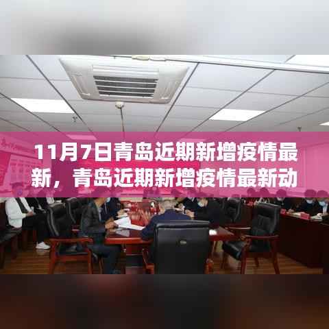 青岛疫情最新动态深度解析,11月7日版新增病例概览