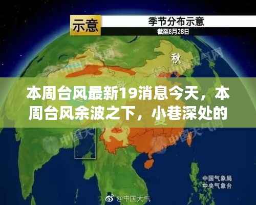 台风余波中的小巷探秘,特色小店之旅本周最新消息