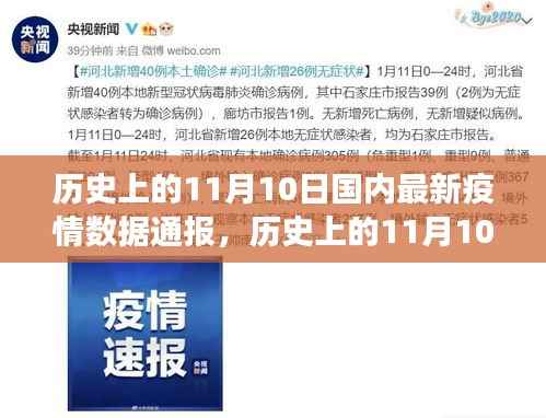 历史上的11月10日,疫情数据通报与寻找内心宁静绿洲的旅程