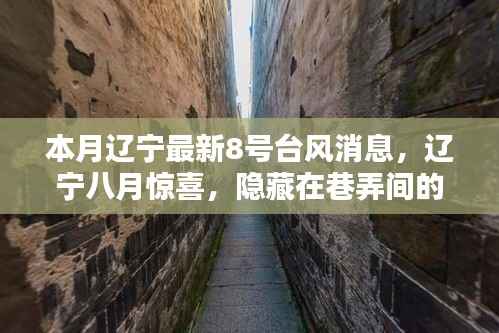 辽宁八月特色小店与台风8号的奇妙邅行,最新台风消息解读
