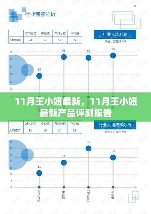 王小妞最新产品评测报告出炉,揭秘十一月新品亮点