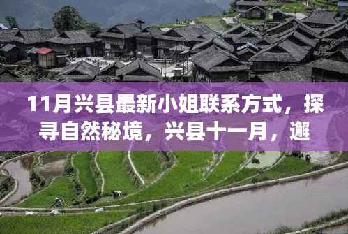 兴县十一月,探寻自然秘境,邂逅心灵静谧之旅——小姐联系方式揭秘