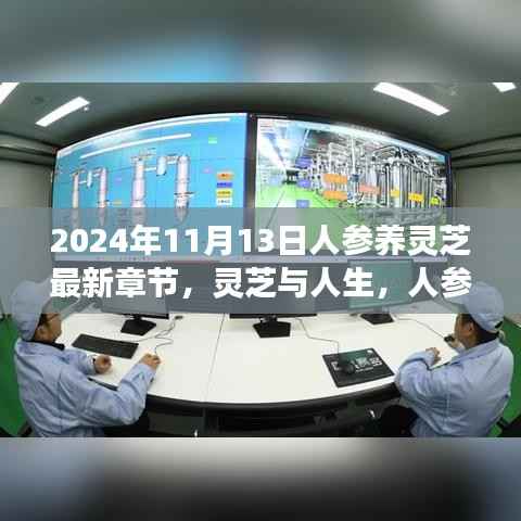 人参养灵芝,友情故事与奇妙日常,最新章节揭晓于2024年11月13日