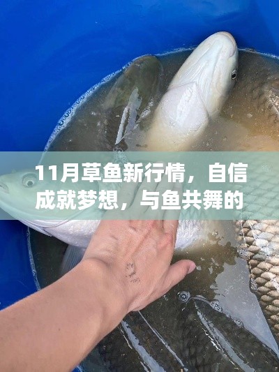 11月草鱼新行情,自信成就梦想,与鱼共舞的人生舞台
