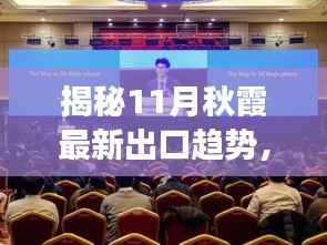 揭秘11月秋霞最新出口趋势,机遇与挑战并存的发展之路