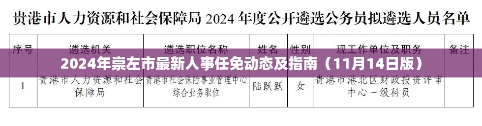 2024年崇左市最新人事任免动态及指南(11月14日版)