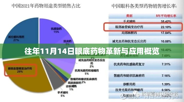 往年11月14日眼底药物革新与应用概览