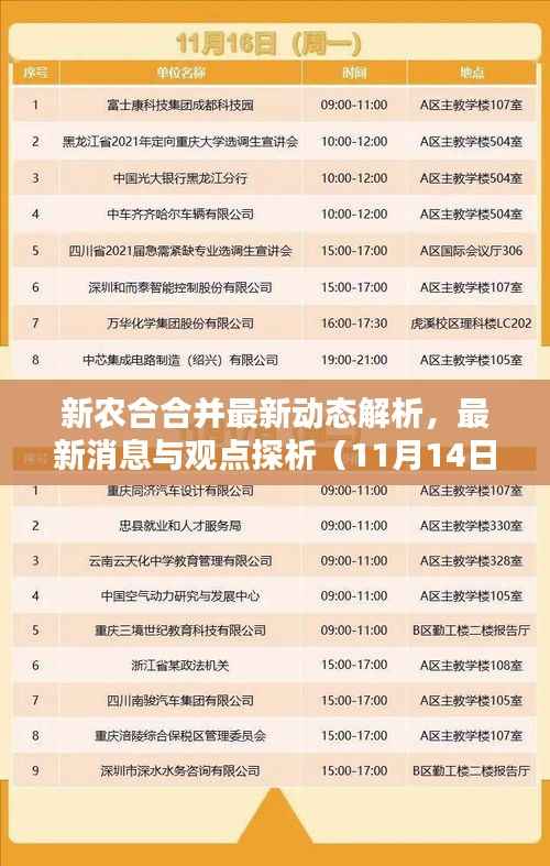 新农合合并最新动态解析,最新消息与观点探析(11月14日)