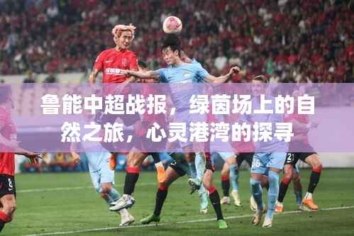 鲁能中超战报,绿茵场上的自然之旅,心灵港湾的探寻