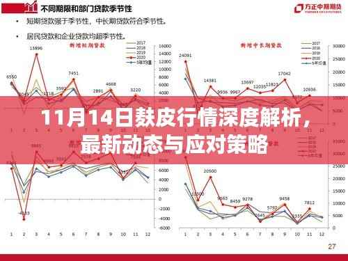 11月14日麸皮行情深度解析，最新动态与应对策略