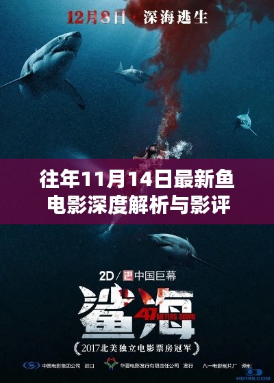 往年11月14日最新鱼电影深度解析与影评