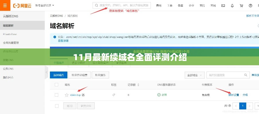 11月最新续域名全面评测介绍