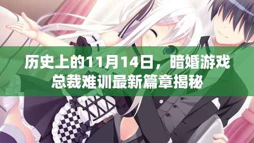 历史上的11月14日，暗婚游戏总裁难训最新篇章揭秘