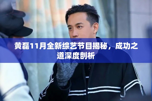 黄磊11月全新综艺节目揭秘,成功之道深度剖析