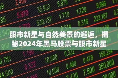 股市新星与自然美景的邂逅,揭秘2024年黑马股票与股市新星闪耀之旅