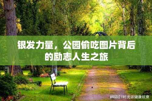 银发力量,公园偷吃图片背后的励志人生之旅