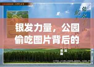 银发力量,公园偷吃图片背后的励志人生之旅