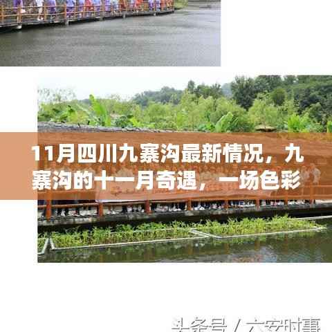 九寨沟十一月色彩斑斓之旅,亲情与友情的奇遇