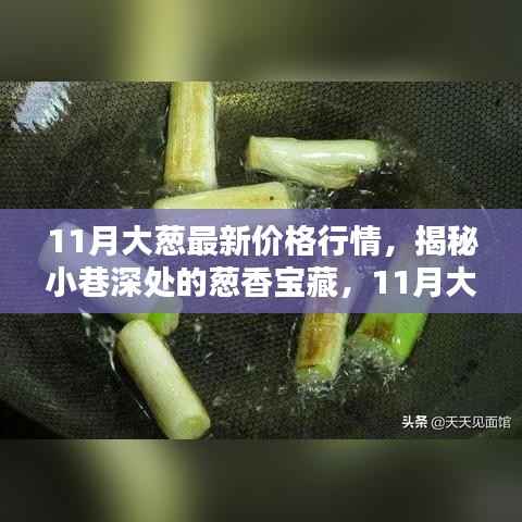 揭秘特色小店的独特魅力与最新大葱价格行情深度解析