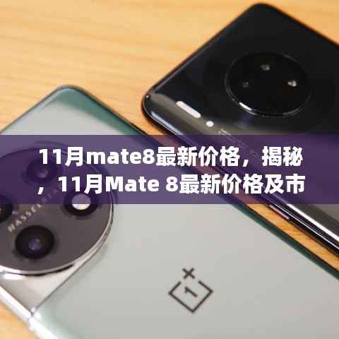 揭秘与解析,11月Mate 8最新价格与市场动态分析