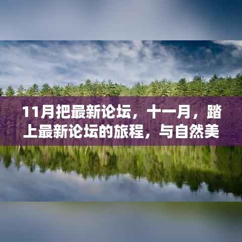 十一月最新论坛之旅,与自然共舞,探寻内心宁静与平和的旅程