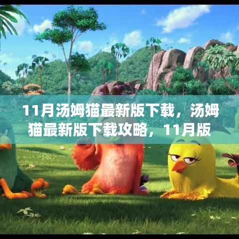 11月最新版汤姆猫下载攻略,步骤详解与特色解析