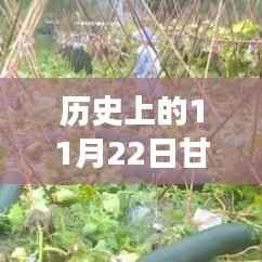 甘霖水库智能系统全新升级,科技魅力下的智能生活新篇章(体验更新动态)