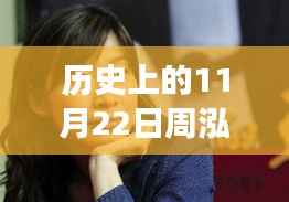 历史上的11月22日,周泓最新技能学习指南与事件探索步骤