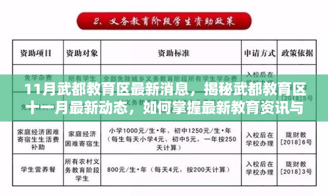 揭秘武都教育区十一月最新动态,掌握最新教育资讯与技能提升指南