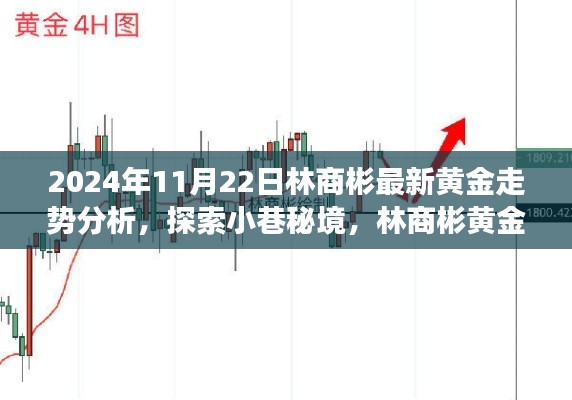 林商彬黄金走势分析揭秘,小巷秘境与独特小店的探索故事(最新预测)