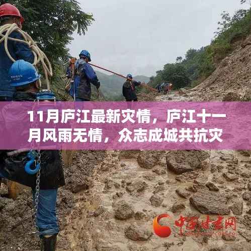 庐江十一月灾情严峻,众志成城共抗风雨无情