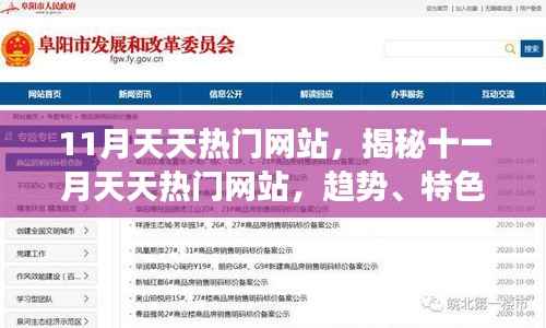 揭秘十一月热门网站趋势、特色与成功案例，带你了解天天热门网站动态