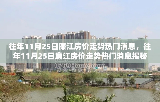 往年11月25日廉江房价走势揭秘,热门消息一览无余