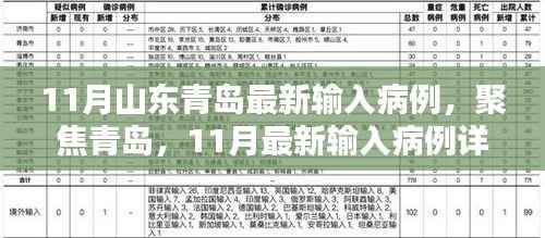 青岛聚焦,11月最新输入病例详解