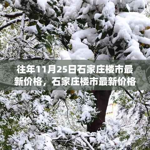 石家庄楼市最新价格动态分析,以11月25日观察点看市场趋势