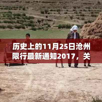 历史上的11月25日沧州限行最新通知解读与应对指南(2017年)