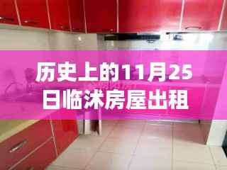 历史上的11月25日临沭房屋出租市场深度解析与热门信息概览