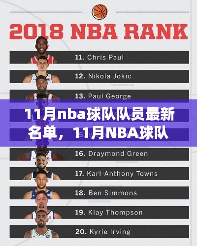 11月NBA球队队员最新名单,深度评测与全面介绍