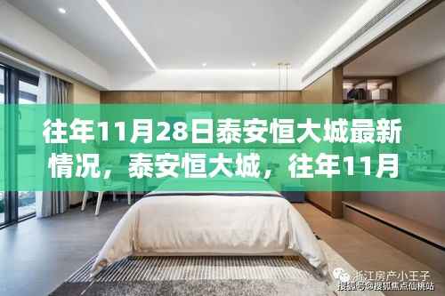 泰安恒大城,往年11月28日的深度观察与最新情况分析