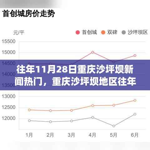 重庆沙坪坝地区历年11月28日新闻热点深度解析与回顾