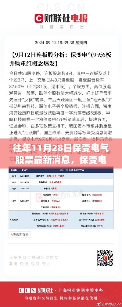 往年11月28日保变电气股票深度测评与最新消息介绍